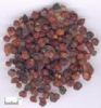 Schisandra Chinensis Extract 